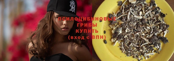 ECSTASY Алзамай