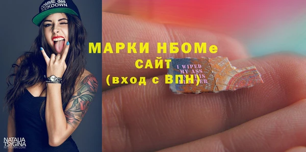 ECSTASY Алзамай