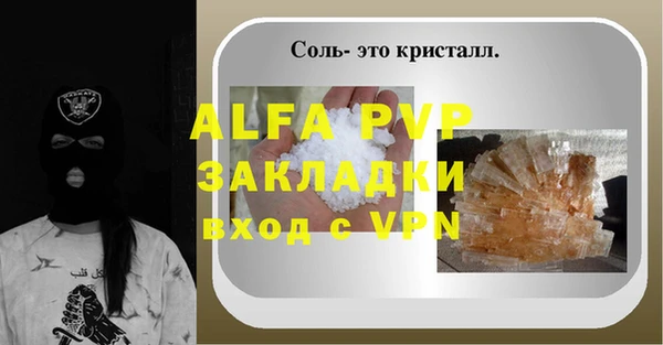 ECSTASY Алзамай