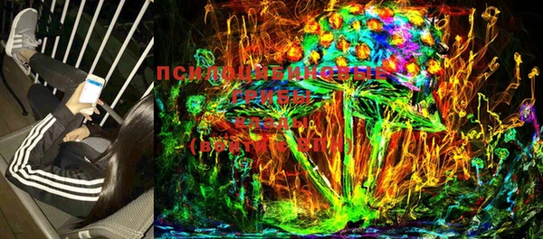 ECSTASY Алзамай