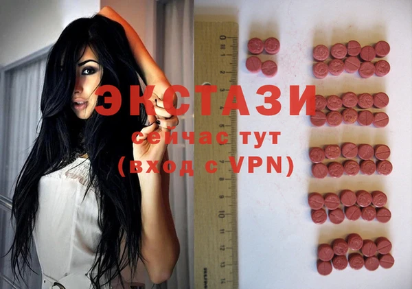 ECSTASY Алзамай