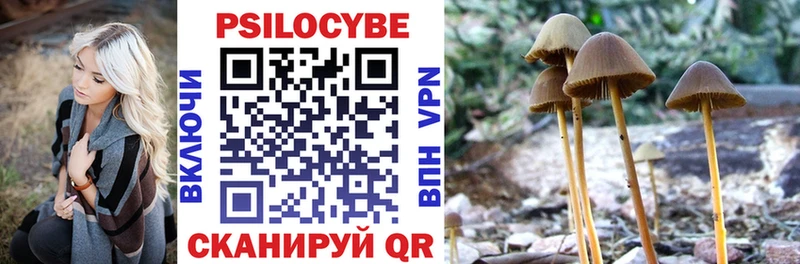 Псилоцибиновые грибы MAGIC MUSHROOMS  гидра ССЫЛКА  Лермонтов 