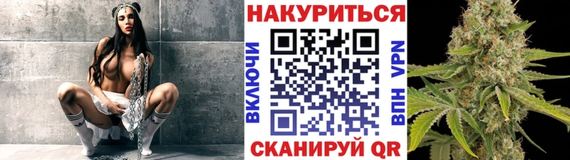 Шишки марихуана конопля  наркота  Лермонтов 